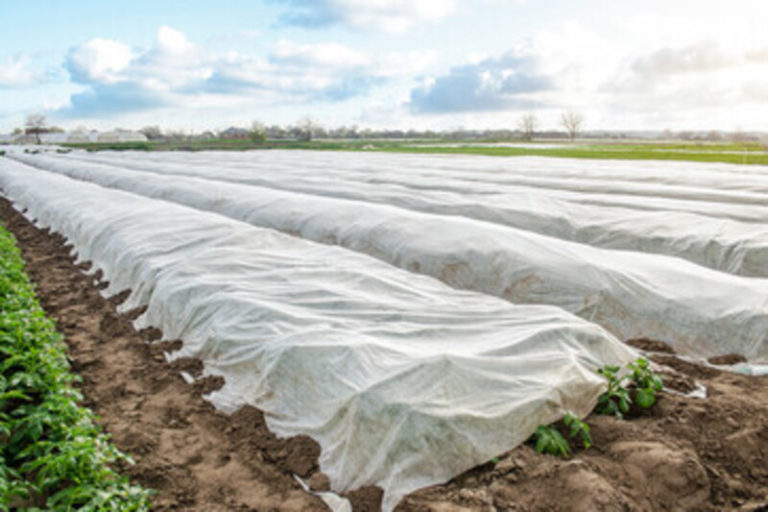 Agriculture Non-Woven Fabric: A Revolution in Farming