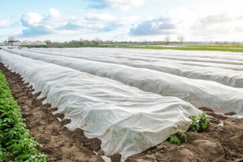 Agriculture Non-Woven Fabric