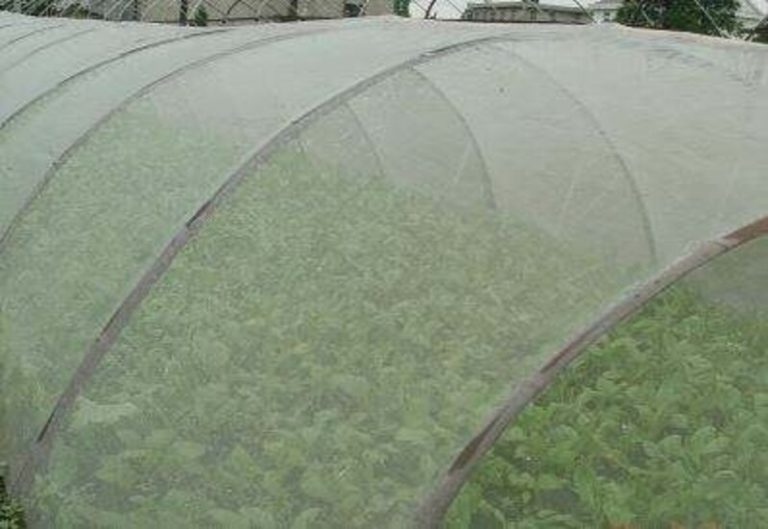 Agricultural Insect Netting: Choosing the Right Solution for Your Farming Needs