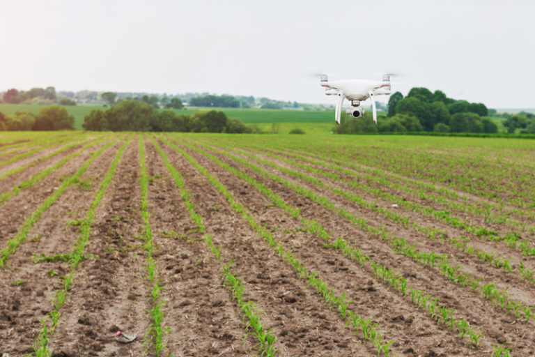 Crop Monitoring System: The Key to Increased Efficiency and Profitability in Agriculture