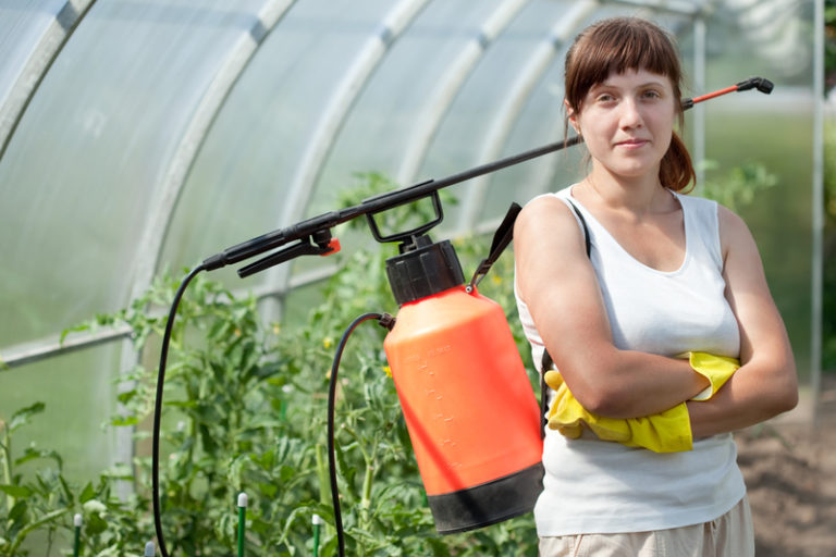 Pest Control in Agriculture: Effective Solutions for Modern Farming