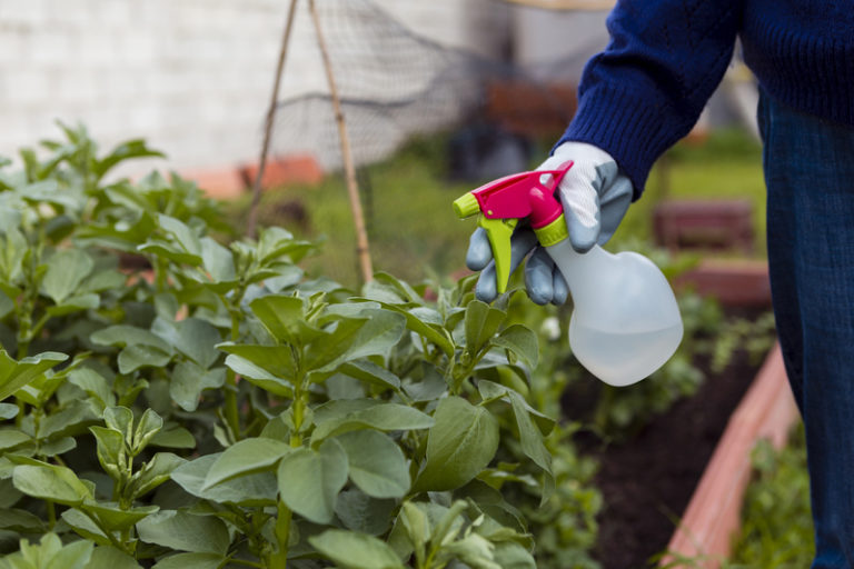 Biopesticides: The Eco-Friendly Solution to Pest Control