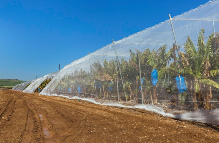 Crop Netting: A Revolutionary Approach to Crop Protection