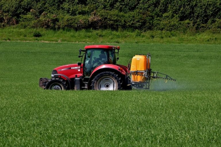 Insecticides in Agriculture: Maximizing Crop Yields While Minimizing Risks