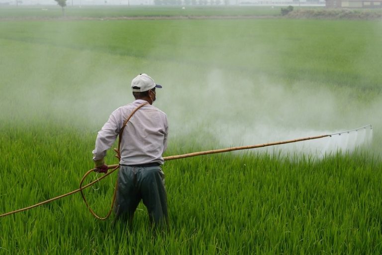 Pesticide Residue: Understanding the Impact on Health and the Environment