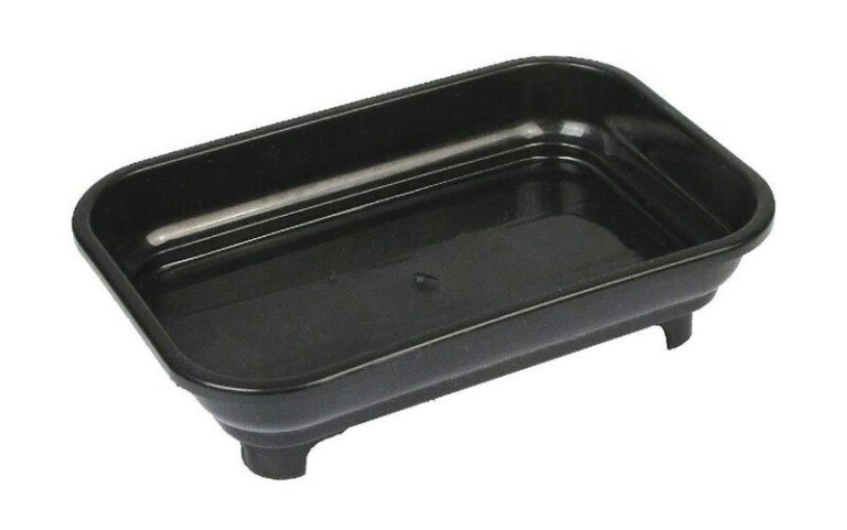 Bonsai Humidity Tray: A Must-Have for Healthy Bonsai Trees