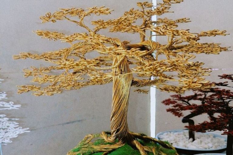 Bonsai Gold: An Investment Opportunity Worth Exploring