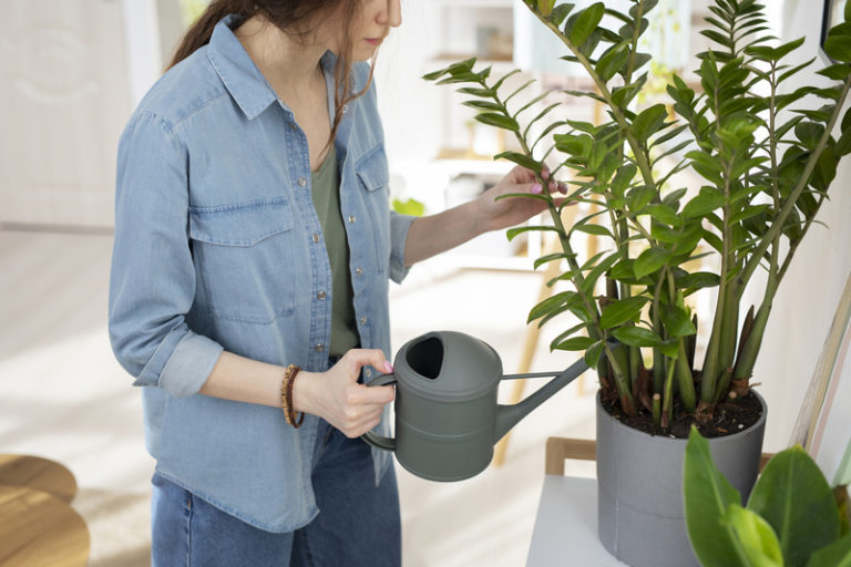 Bonsai Watering Can: An Essential Tool for Your Bonsai Tree Care