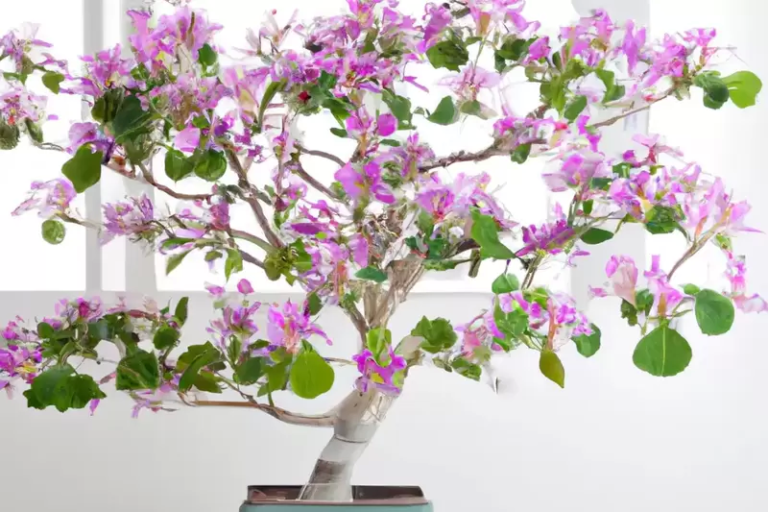 Orchid Bonsai Trees: Captivating Living Art for Your Indoor Space