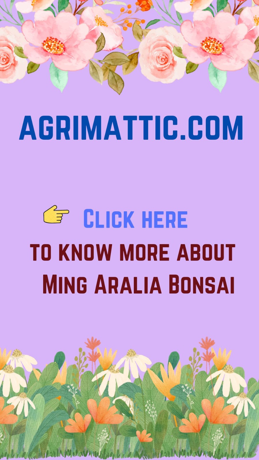 How to Grow Jacaranda Mimosifolia Bonsai Agrimattic