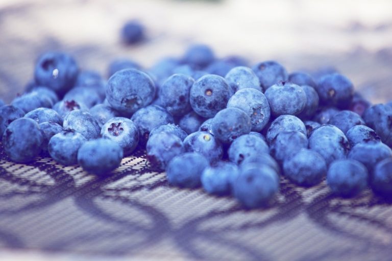 Blueberries: The Sweet and Nutritious Superfruit
