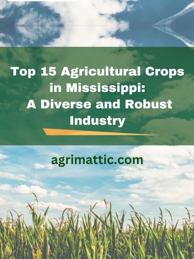 Top 15 Agricultural Crops in Mississippi