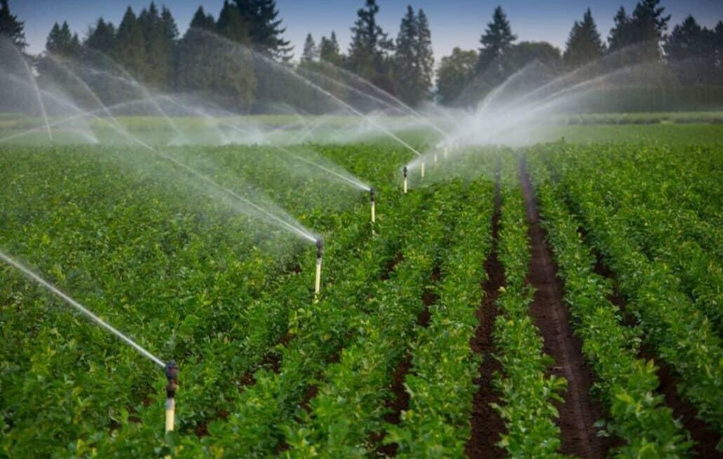 Small Farm Irrigation Techniques